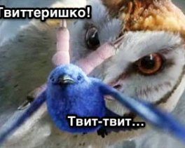 Соцсети мешают работе?</p>
<p>Поможет сова продуктивности ^o,o^