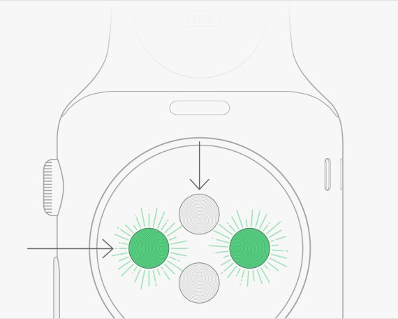 Apple подробно рассказала, как работает датчик сердцебиения в Apple Watch